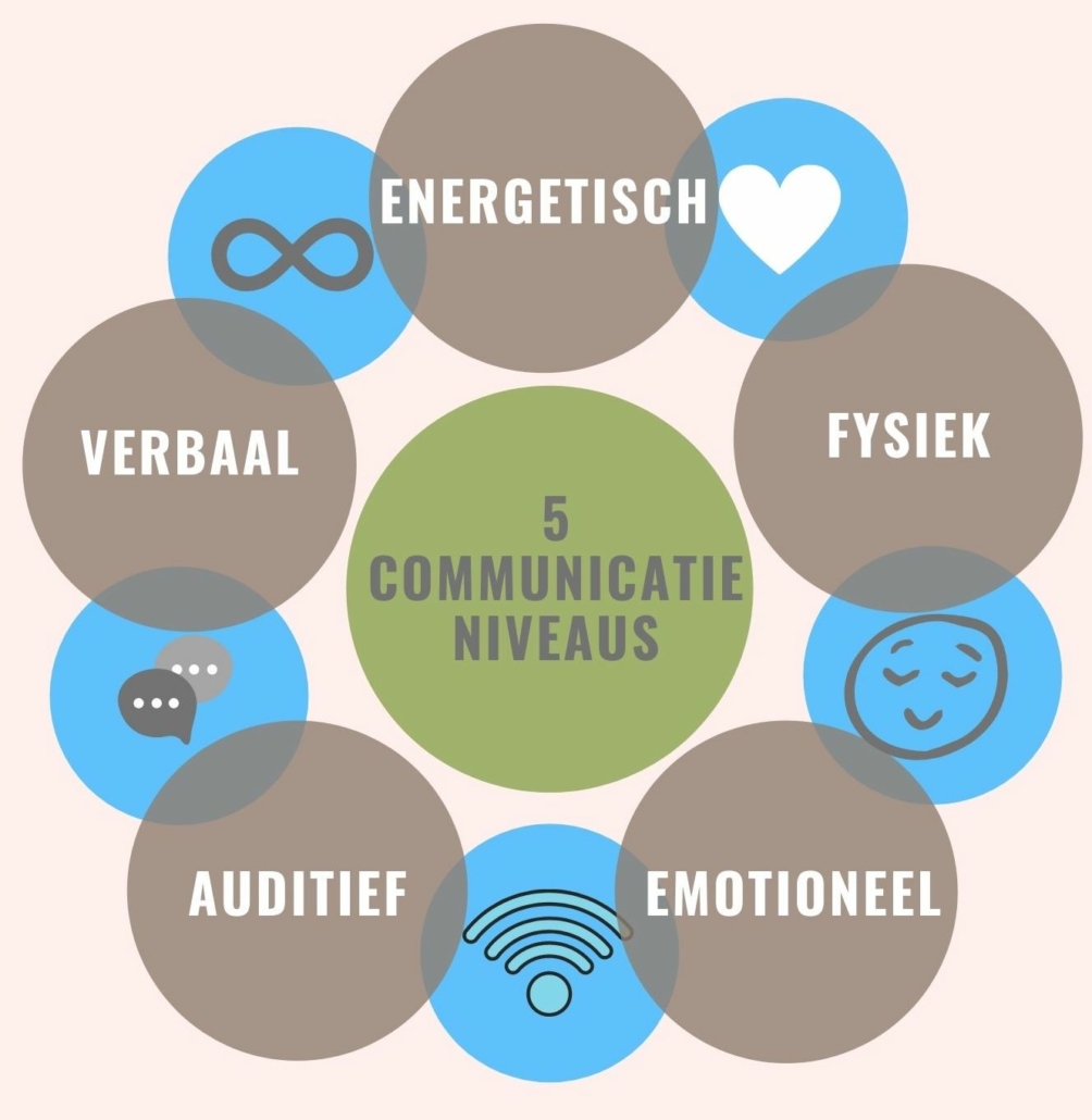 communicatie en sociale vaardigheden