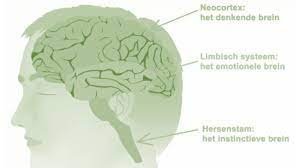 persoonlijk ontwikkelen